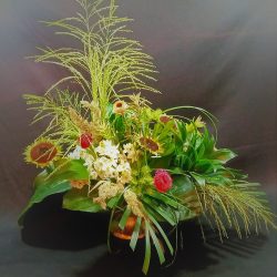 IMG_20220721_152424_1 (3)