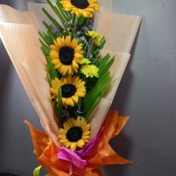 WhatsApp Image 2022-07-13 at 9.50.17 AM